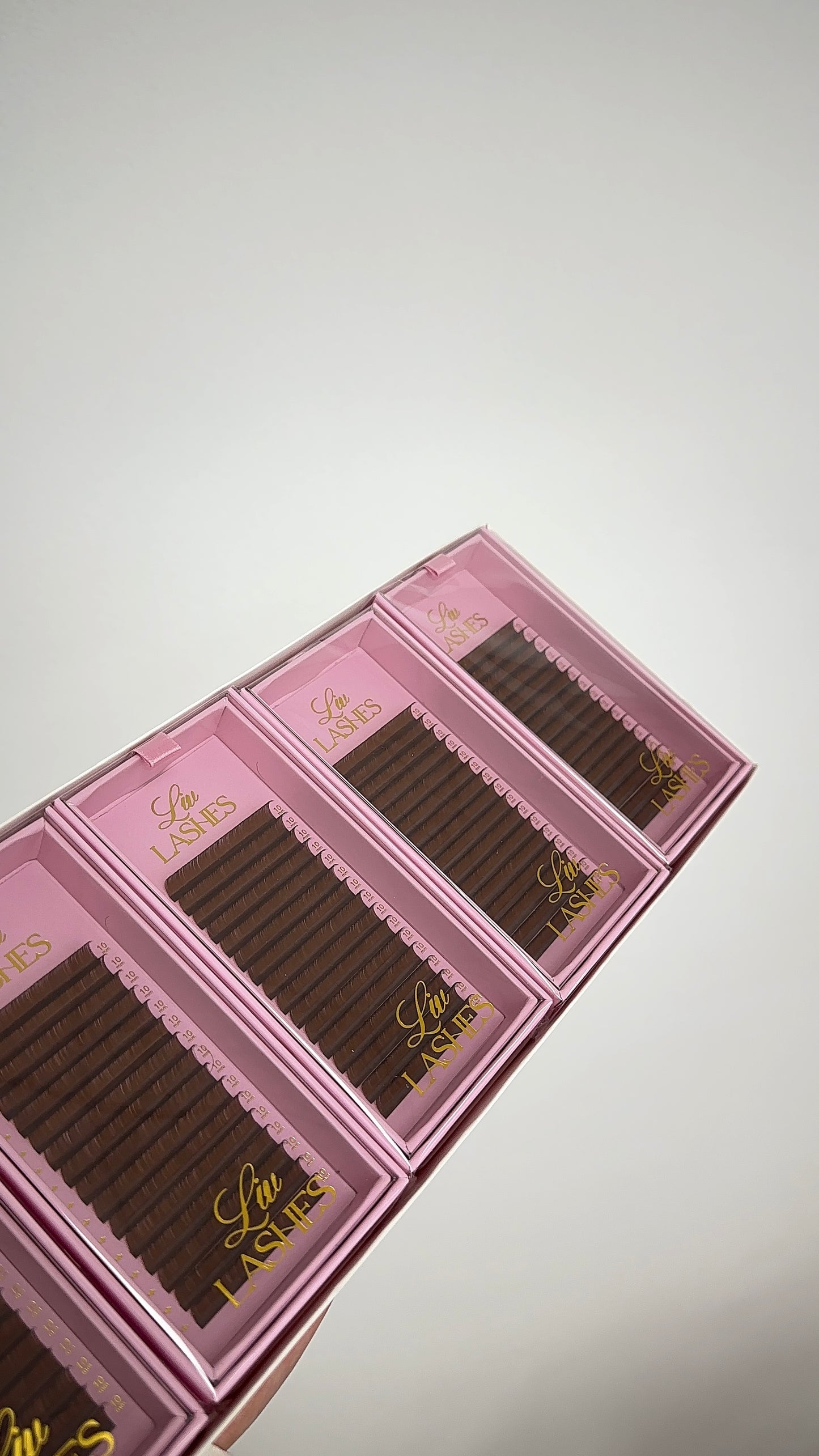 Brown Classic lash trays