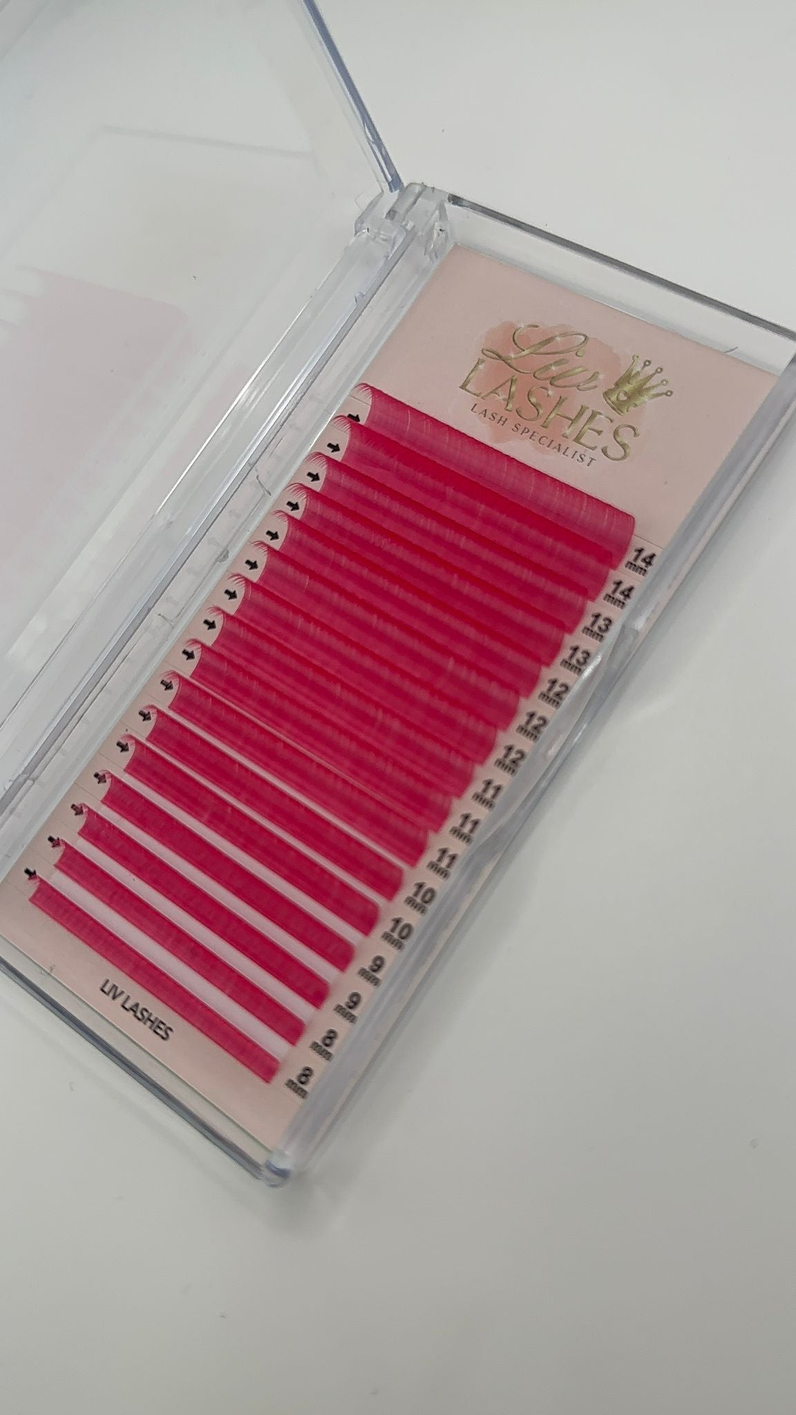 Coloured Lash Trays SALE