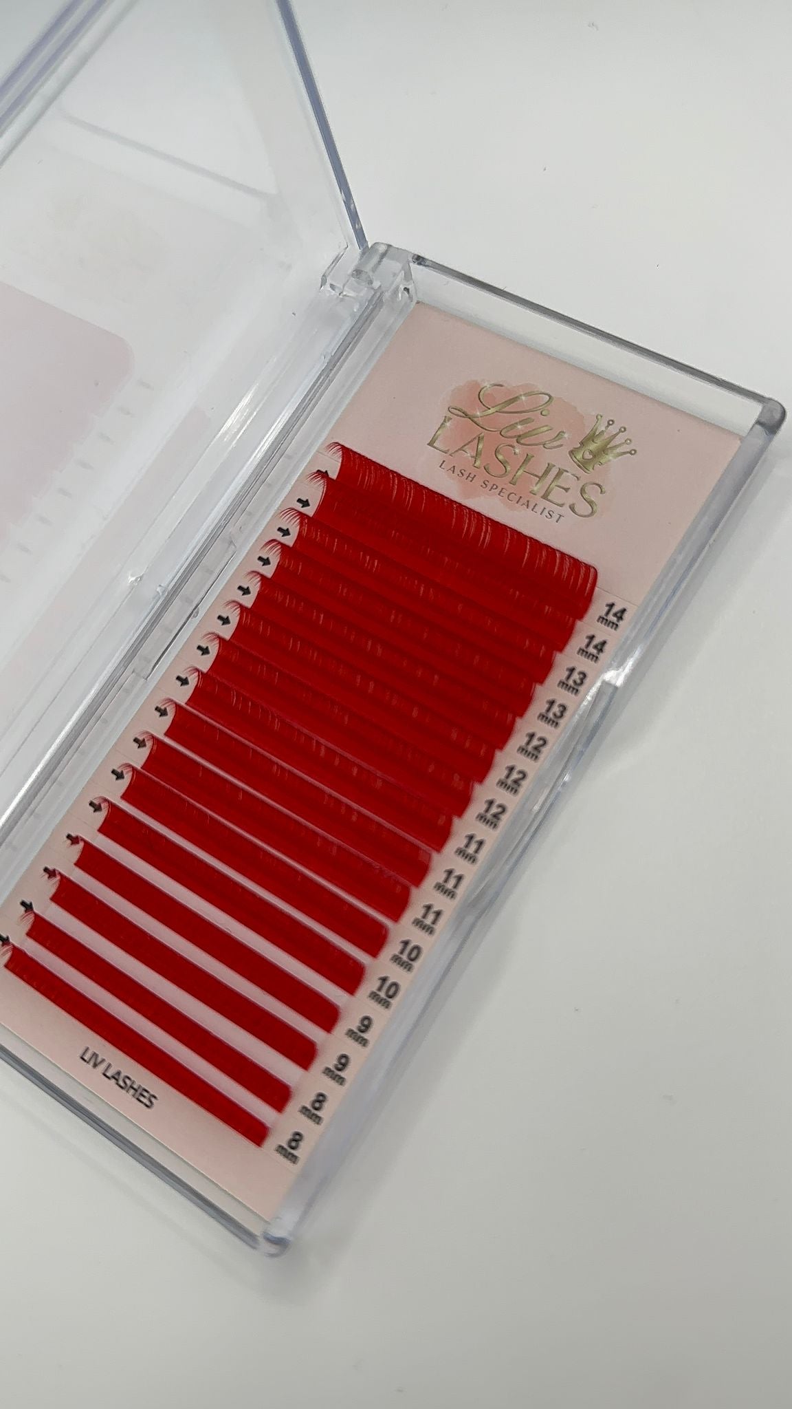 Coloured Lash Trays SALE