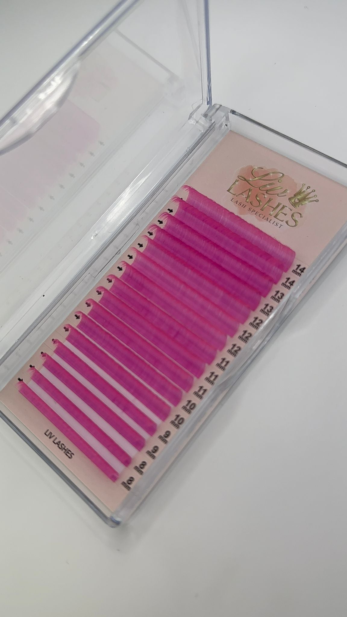 Coloured Lash Trays SALE