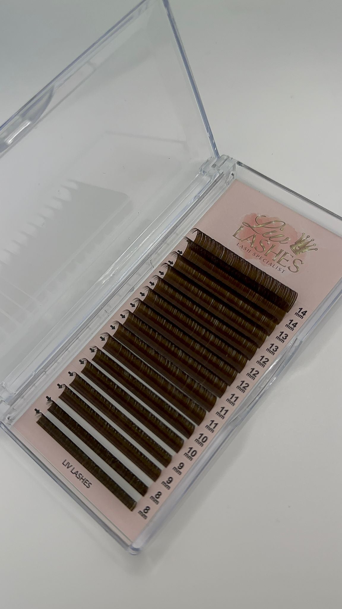 Coloured Lash Trays SALE