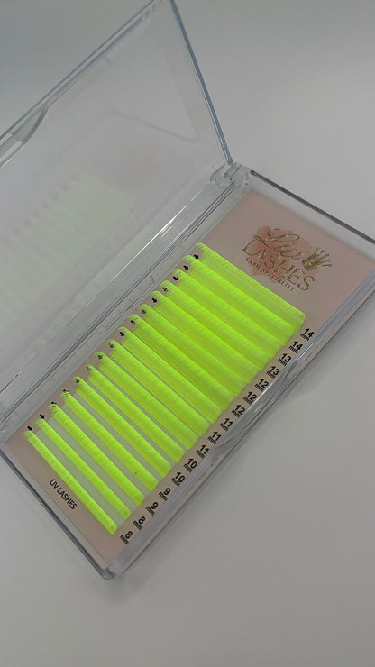 Neon Lash Tray SALE